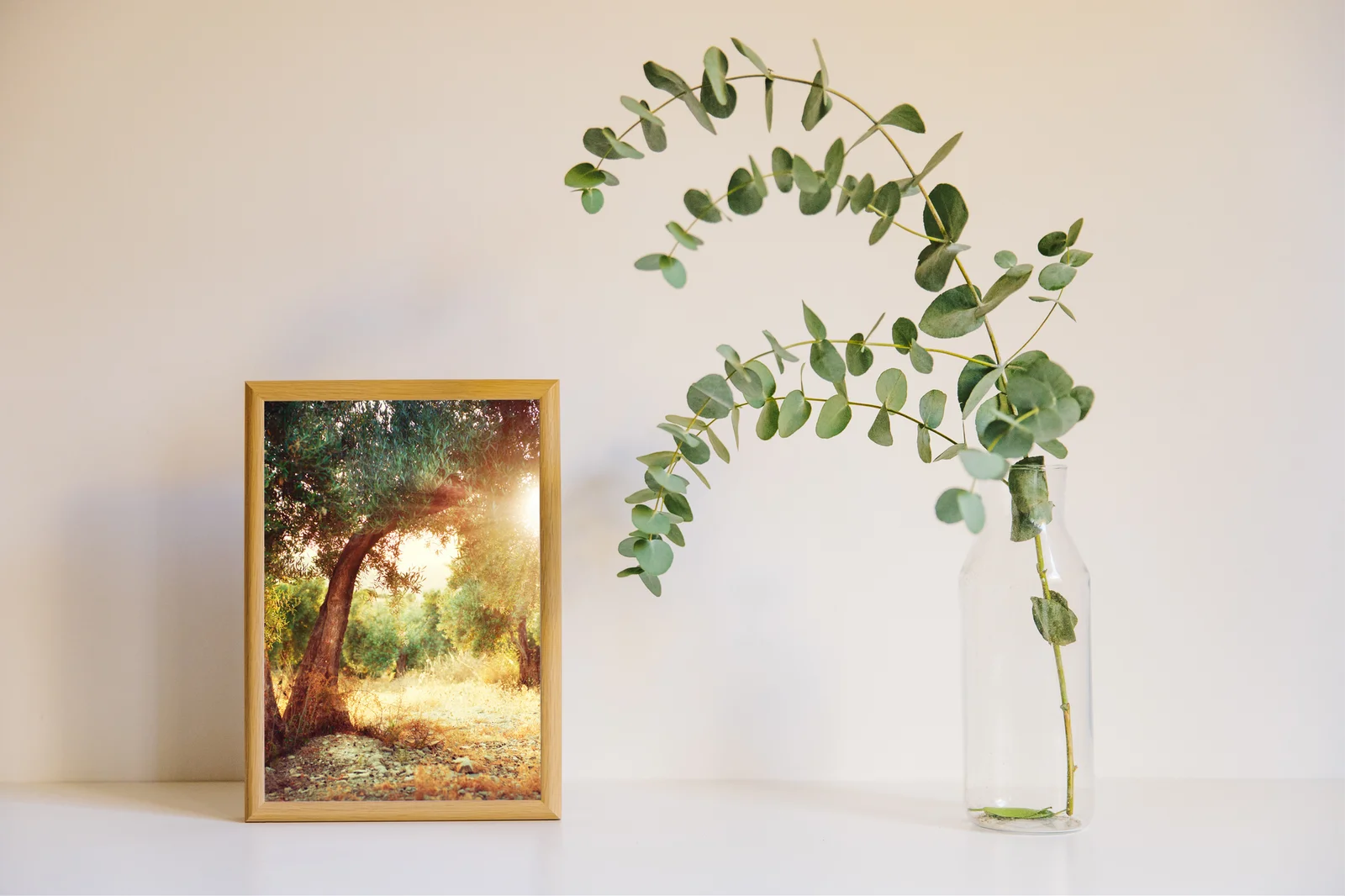 Olive Trees - Naturalna Elegancja w Pastelowych Tonach