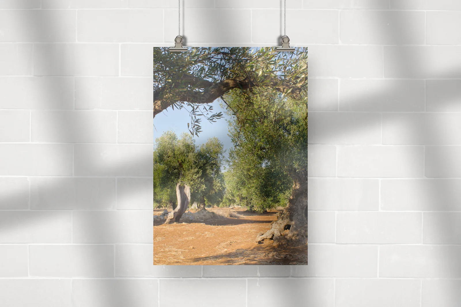 Mediterranean Harmony: Owoce Natury w Pastelowych Odcieniach
