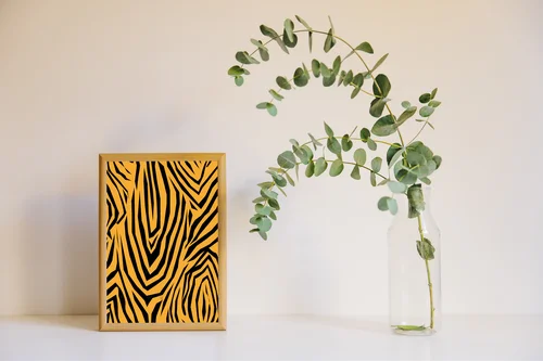Zebra: Grał kolory natury w unikalnej aranżacji