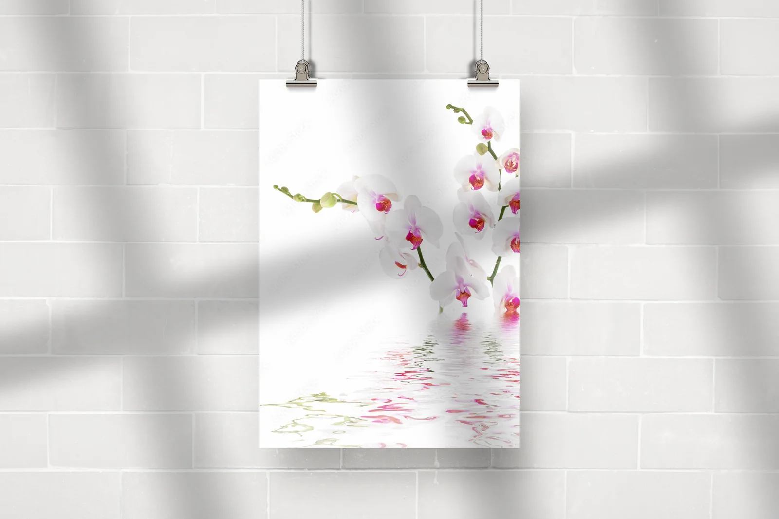 Eleganckie białe orchidee na wodzie