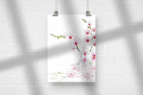 Eleganckie białe orchidee na wodzie
