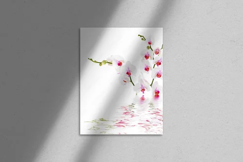 Eleganckie białe orchidee na wodzie