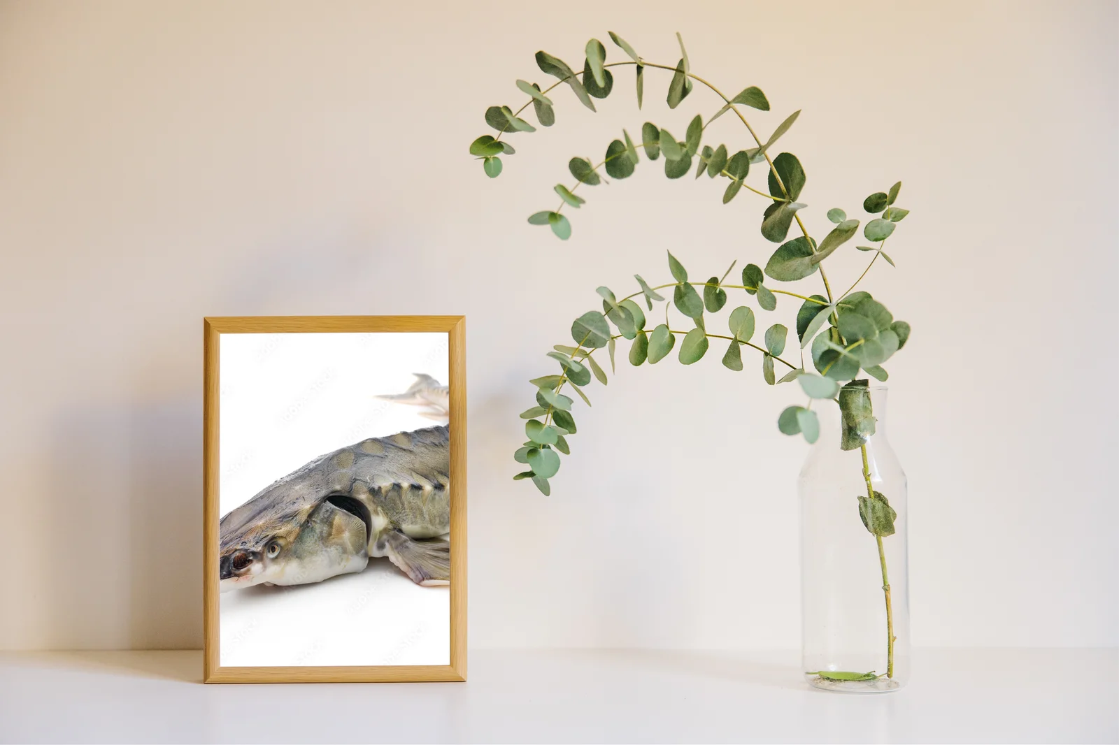 Elegancja i luksus w białych odcieniach sturgeon
