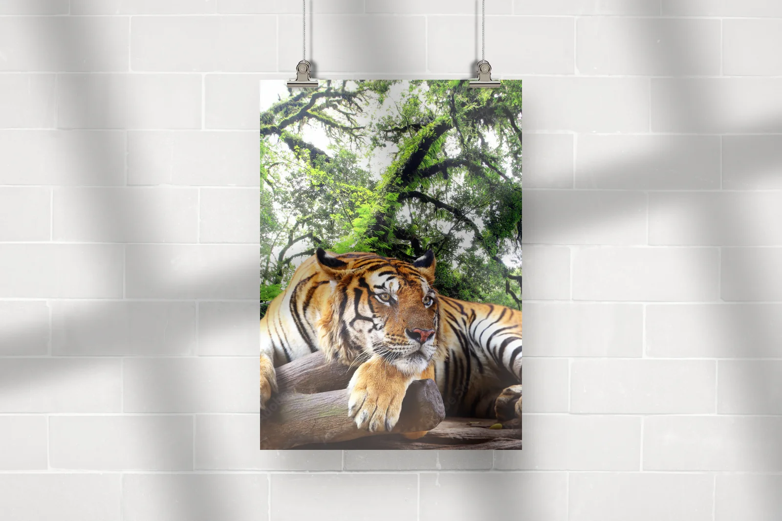 Wielkie felidae w tropikalnym raju