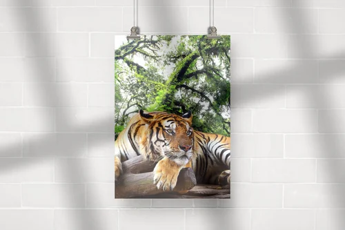 Wielkie felidae w tropikalnym raju