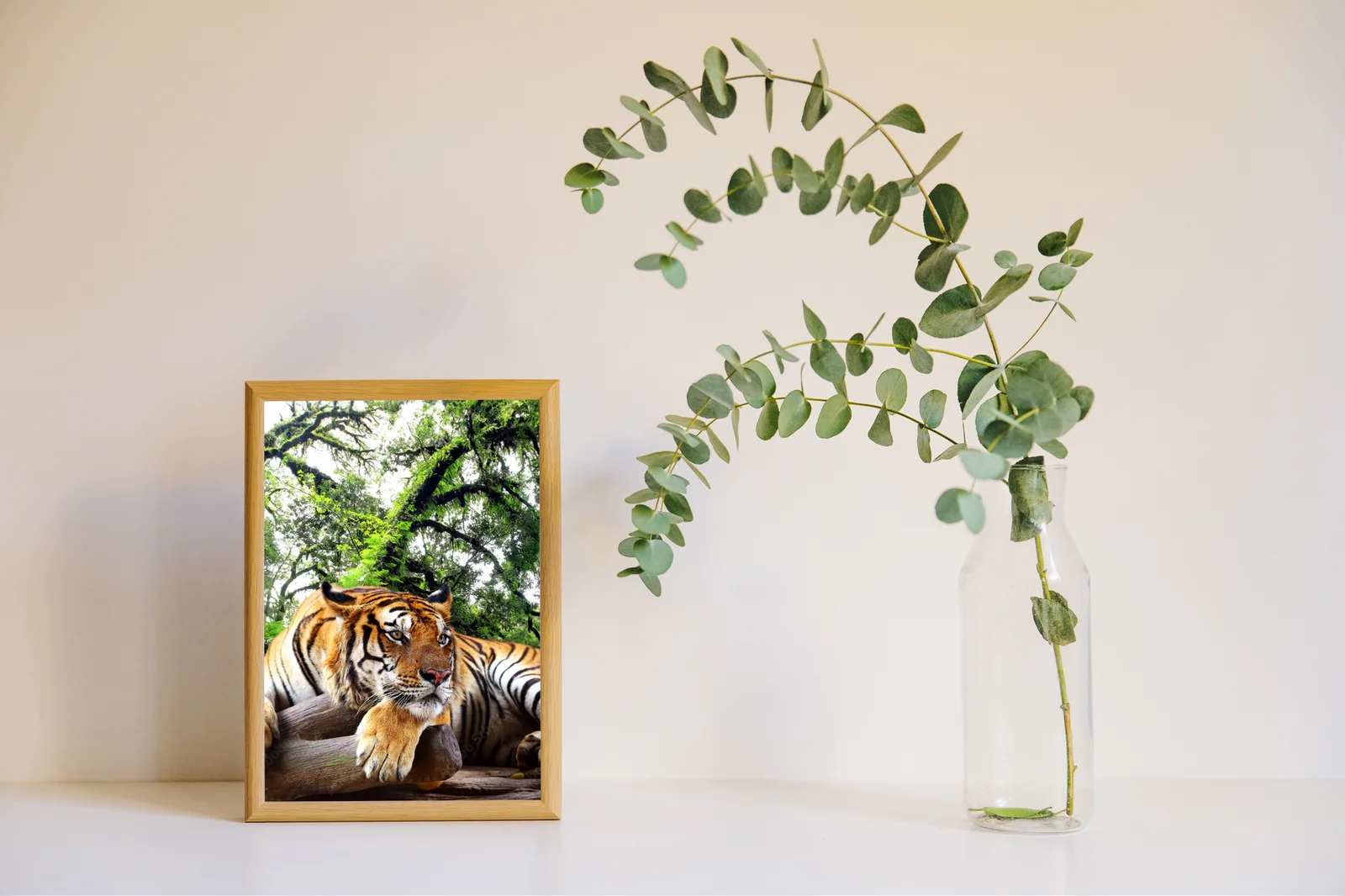 Wielkie felidae w tropikalnym raju