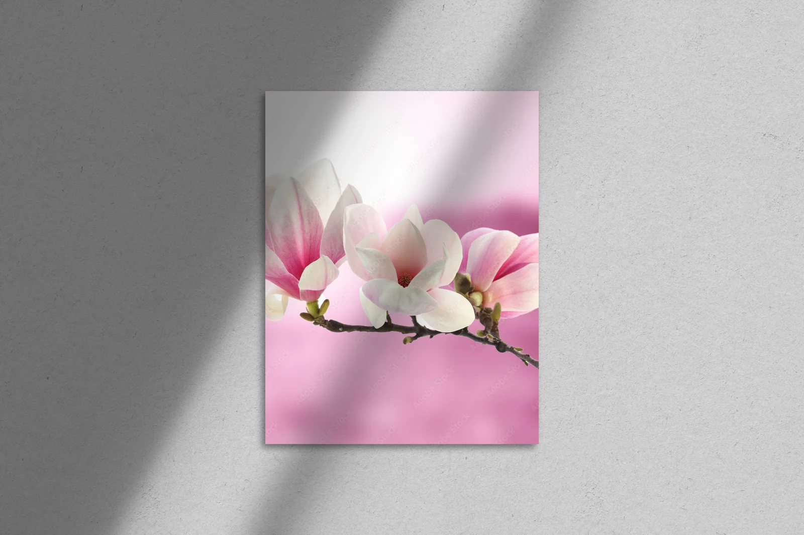 Delikatna magia magnolii w pastelowych tonach