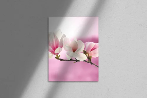 Delikatna magia magnolii w pastelowych tonach