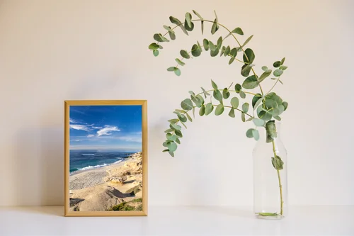 Magicznym okiem La Jolla – nieodkryta plaża Kalifornii