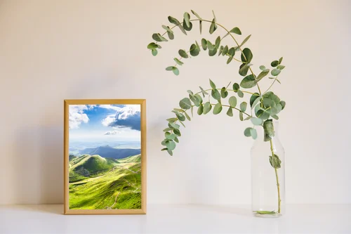 Ożywiała natura w pastelowych barwach