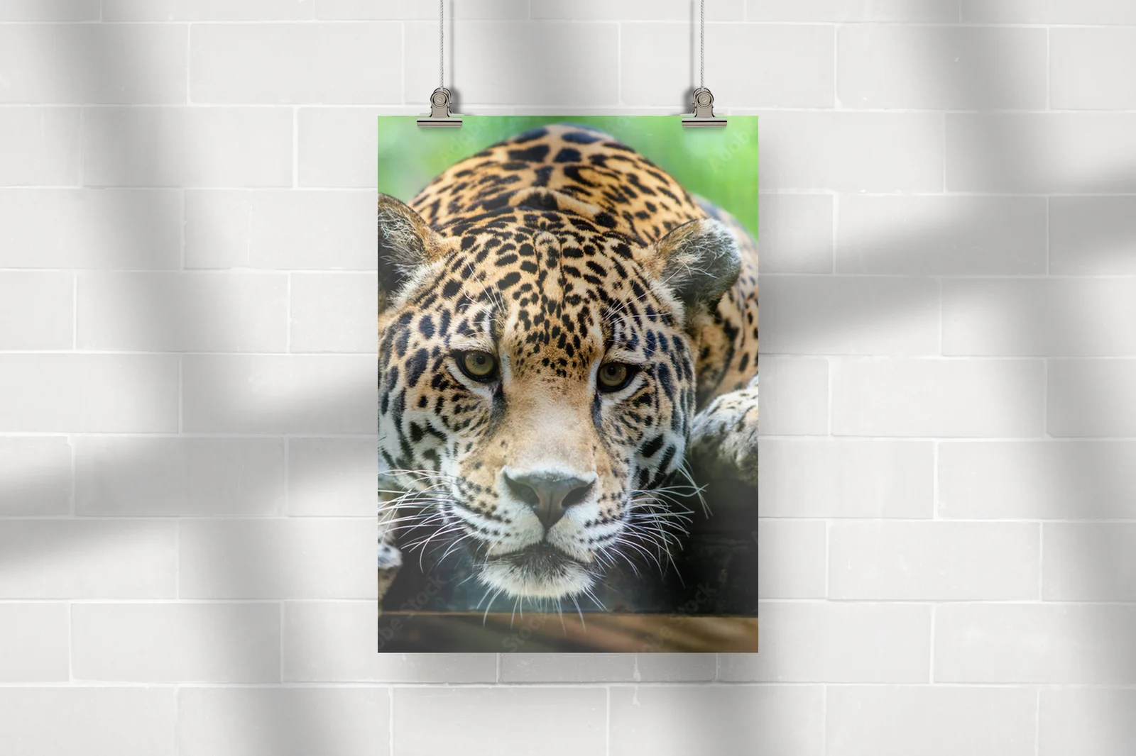 Kuszący portret jaguara w leśnej głuszy
