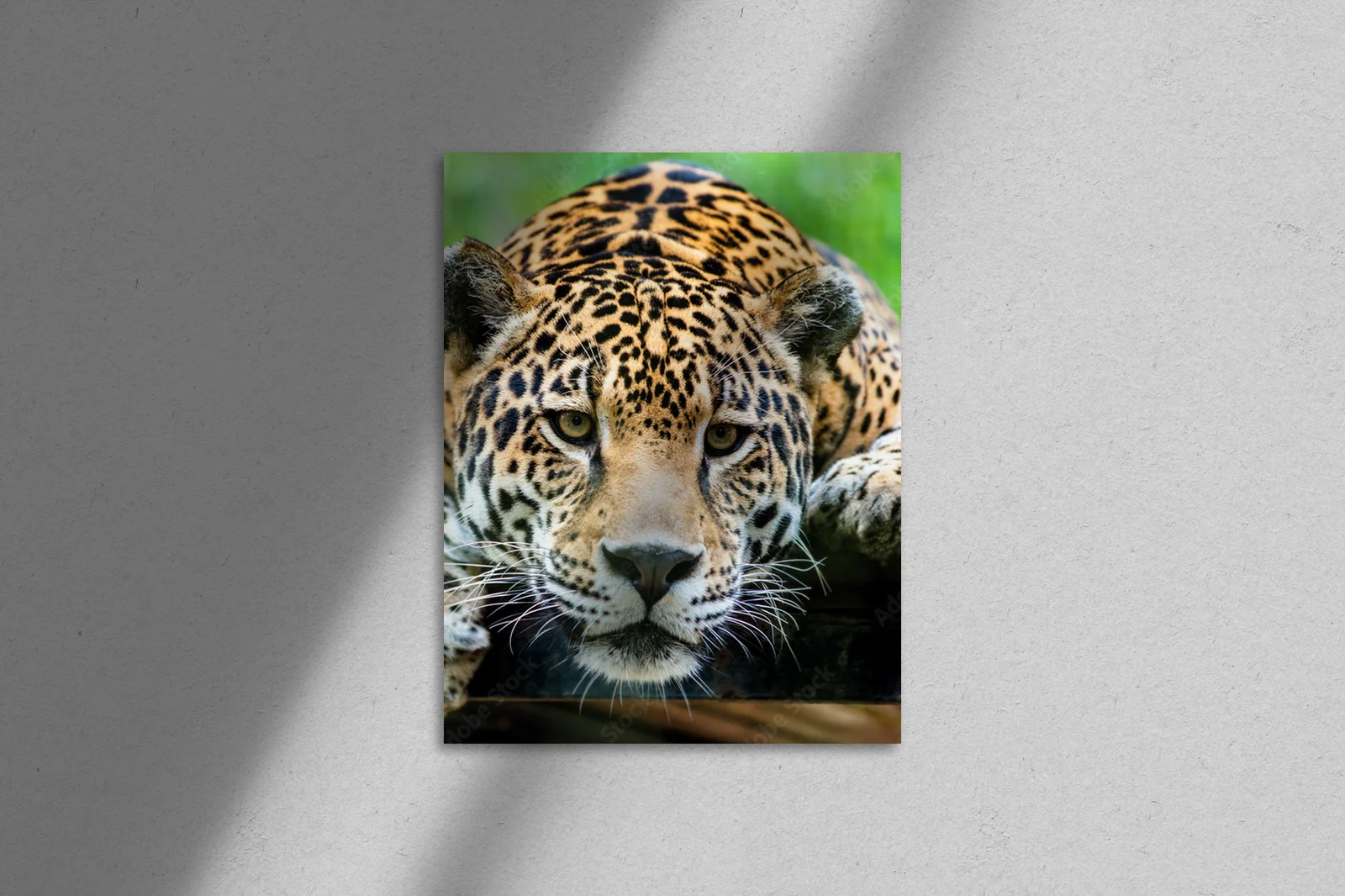 Kuszący portret jaguara w leśnej głuszy