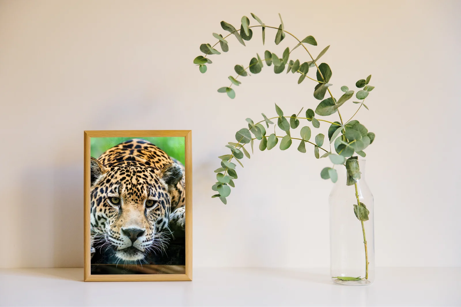 Kuszący portret jaguara w leśnej głuszy