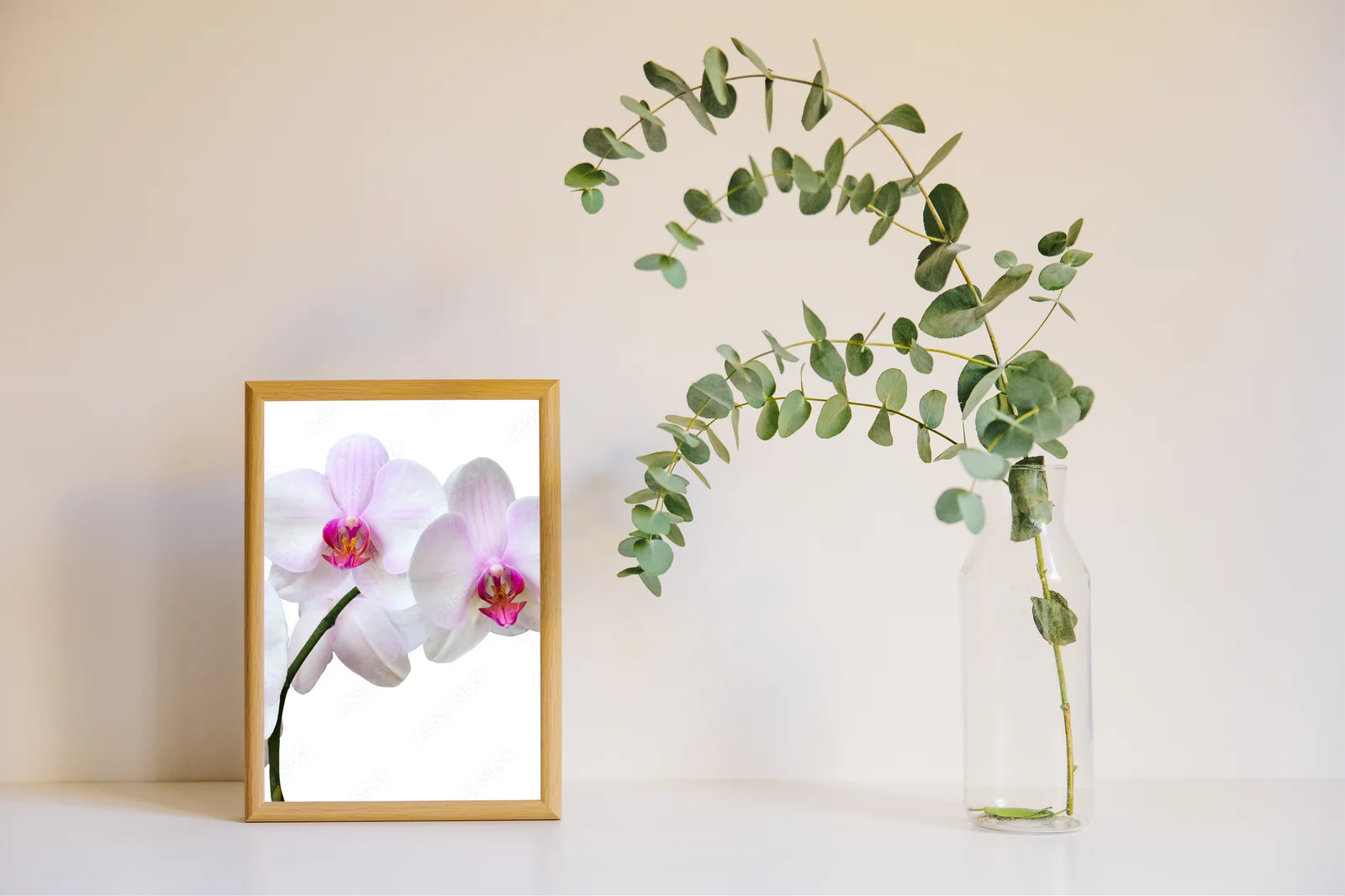 Eleganckie orchidee w delikatnych odcieniach bieli