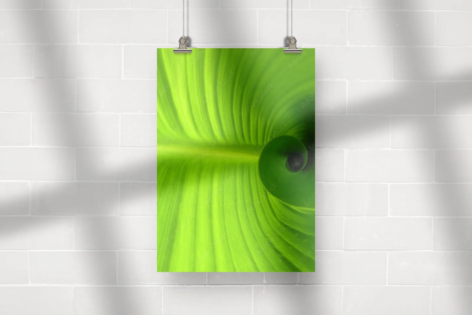 Spiralne liście w intensywnych odcieniach zieleni