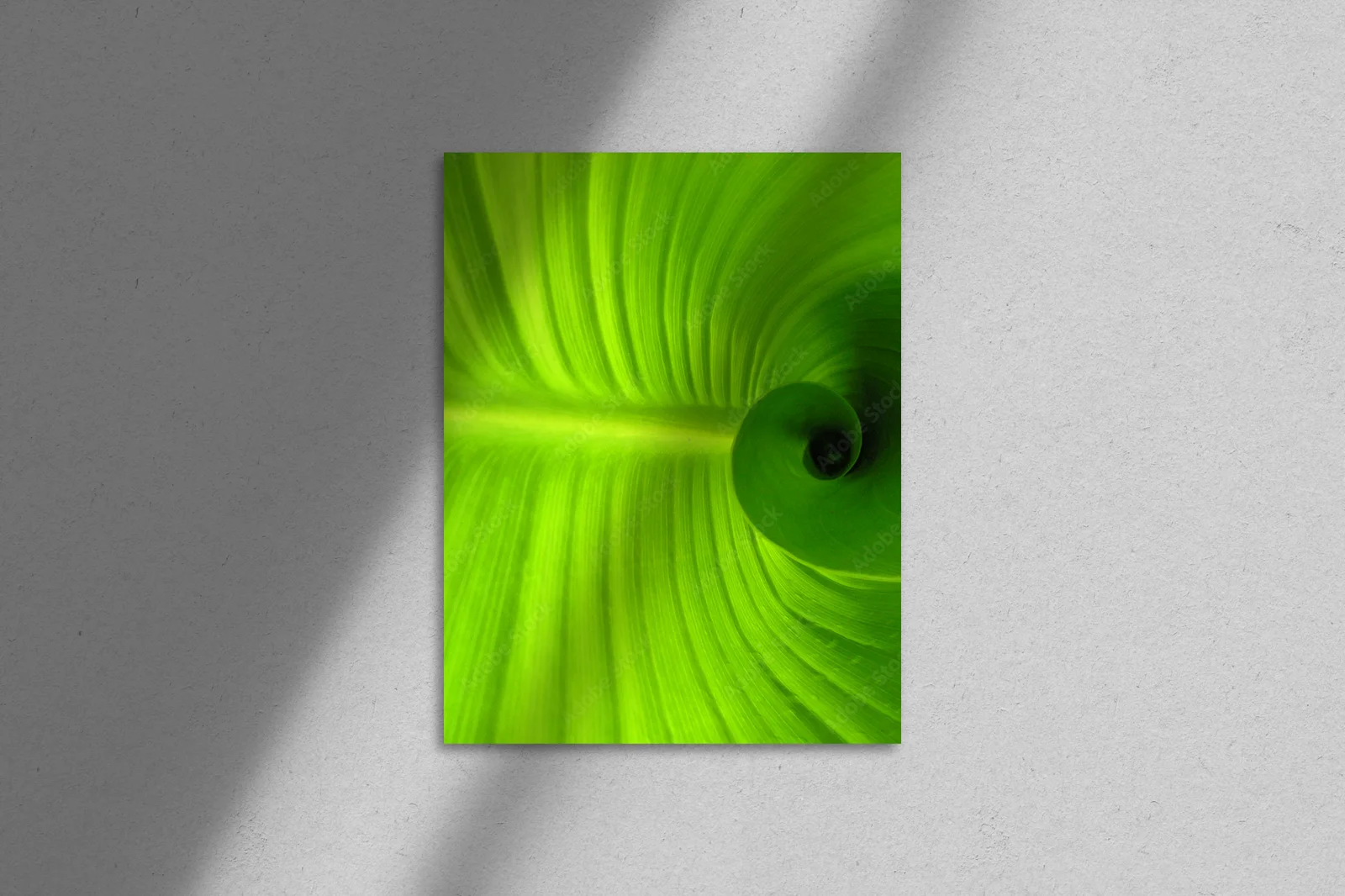 Spiralne liście w intensywnych odcieniach zieleni