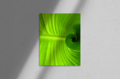 Spiralne liście w intensywnych odcieniach zieleni