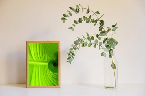 Spiralne liście w intensywnych odcieniach zieleni