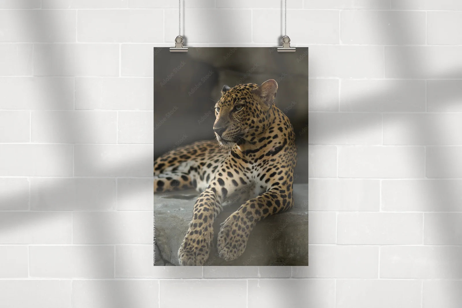 Mystyczny świat leopardów w nasyconych barwach