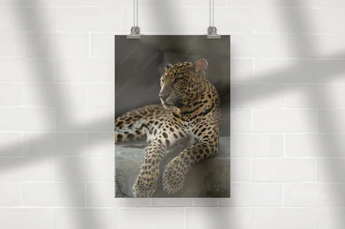 Mystyczny świat leopardów w nasyconych barwach