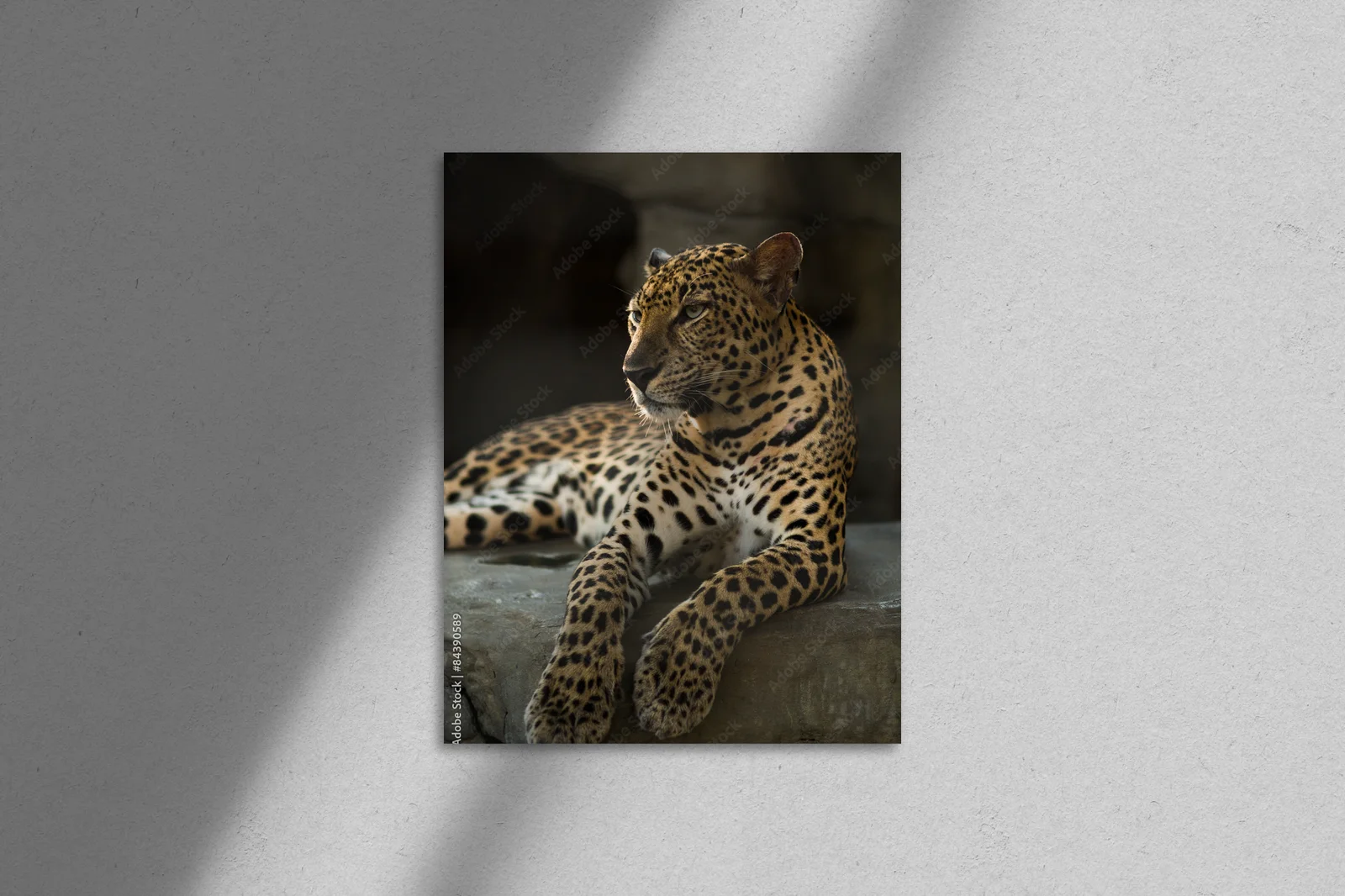 Mystyczny świat leopardów w nasyconych barwach