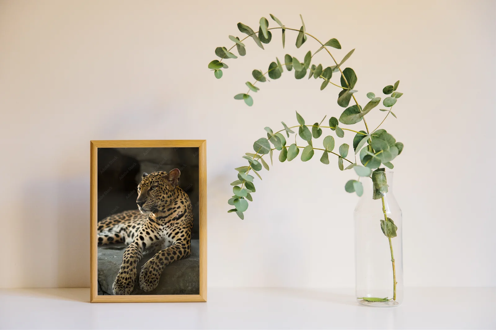 Mystyczny świat leopardów w nasyconych barwach