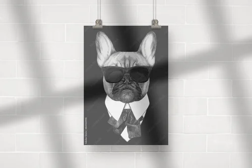 Wygodny styl w czerni: francuski buldog w modzie