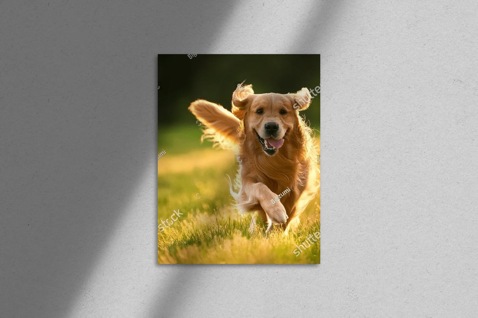 Radosny złoty retriever w sielankowych barwach