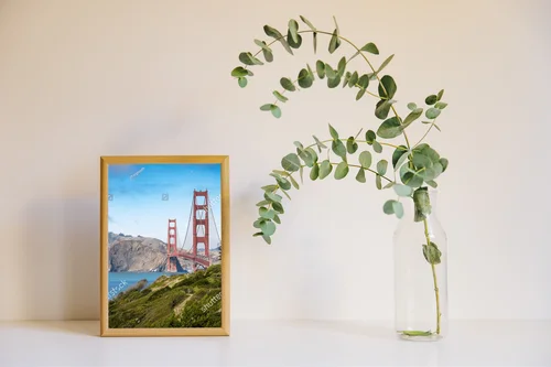 Magiczne spojrzenie na most Golden Gate