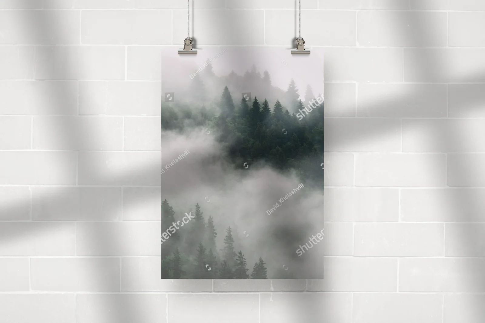 Misty Forest Vibes w górskiej scenerii