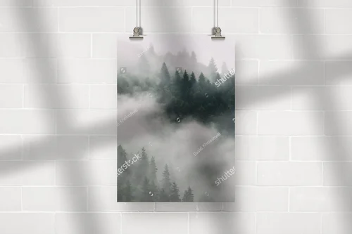 Misty Forest Vibes w górskiej scenerii