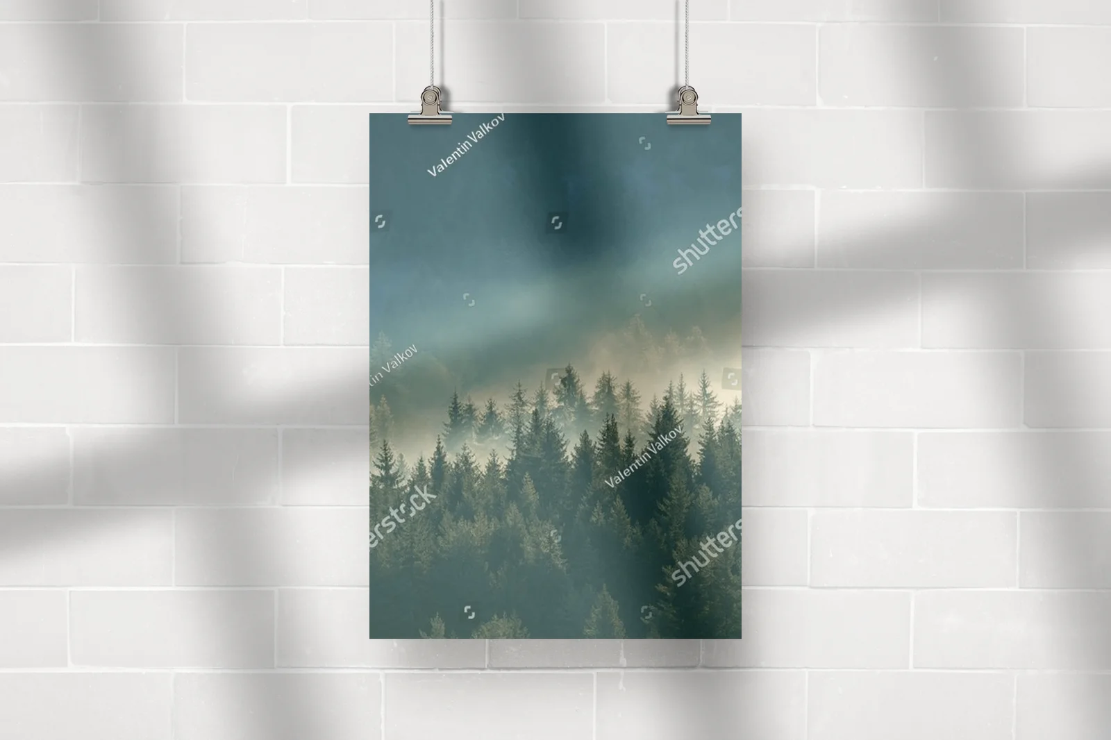 Misty pine forest: spokój w górach