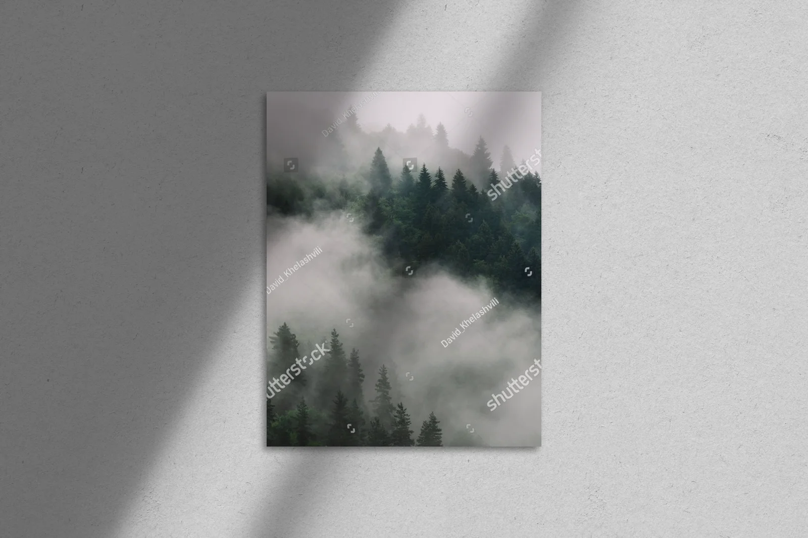 Misty Forest Vibes w górskiej scenerii