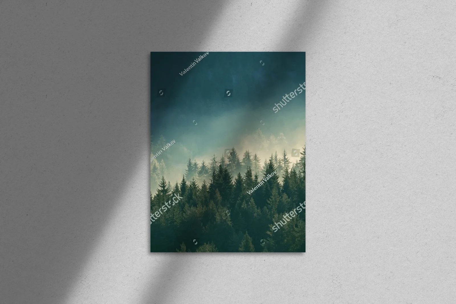 Misty pine forest: spokój w górach