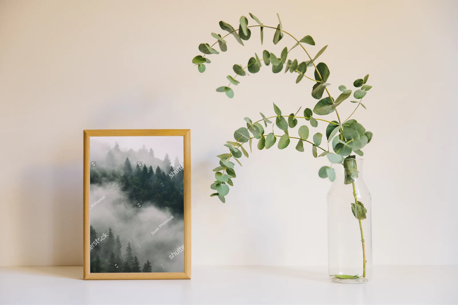 Misty Forest Vibes w górskiej scenerii