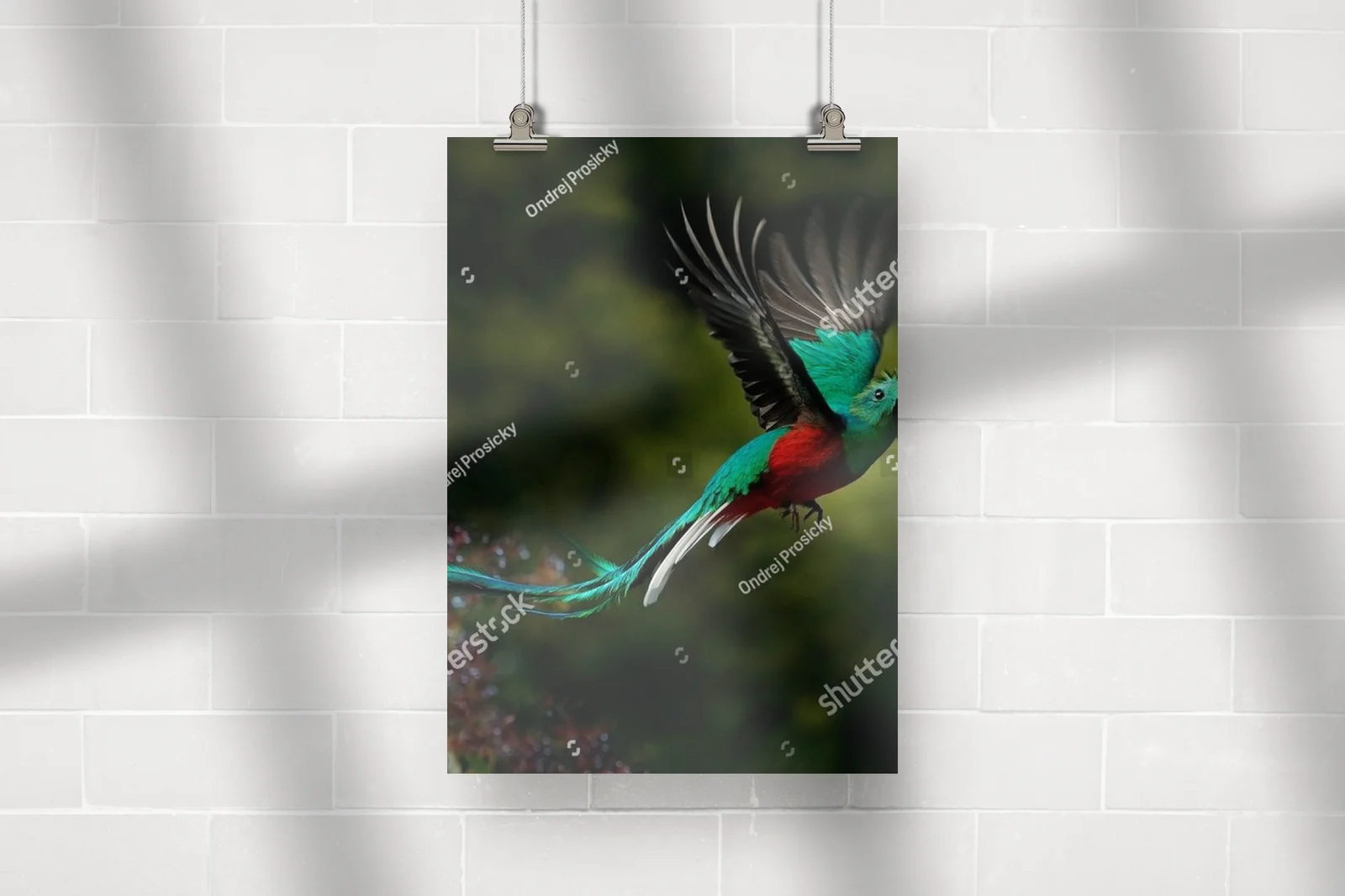 Oryginalna kompozycja z resplendentnym quetzalem