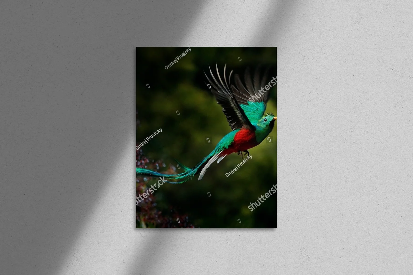 Oryginalna kompozycja z resplendentnym quetzalem