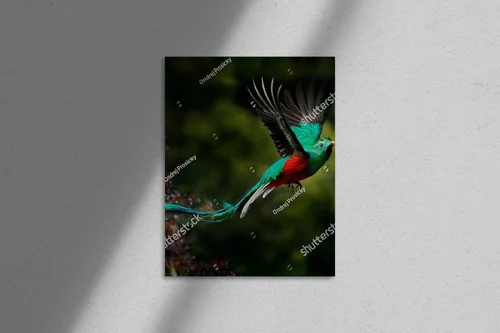 Oryginalna kompozycja z resplendentnym quetzalem