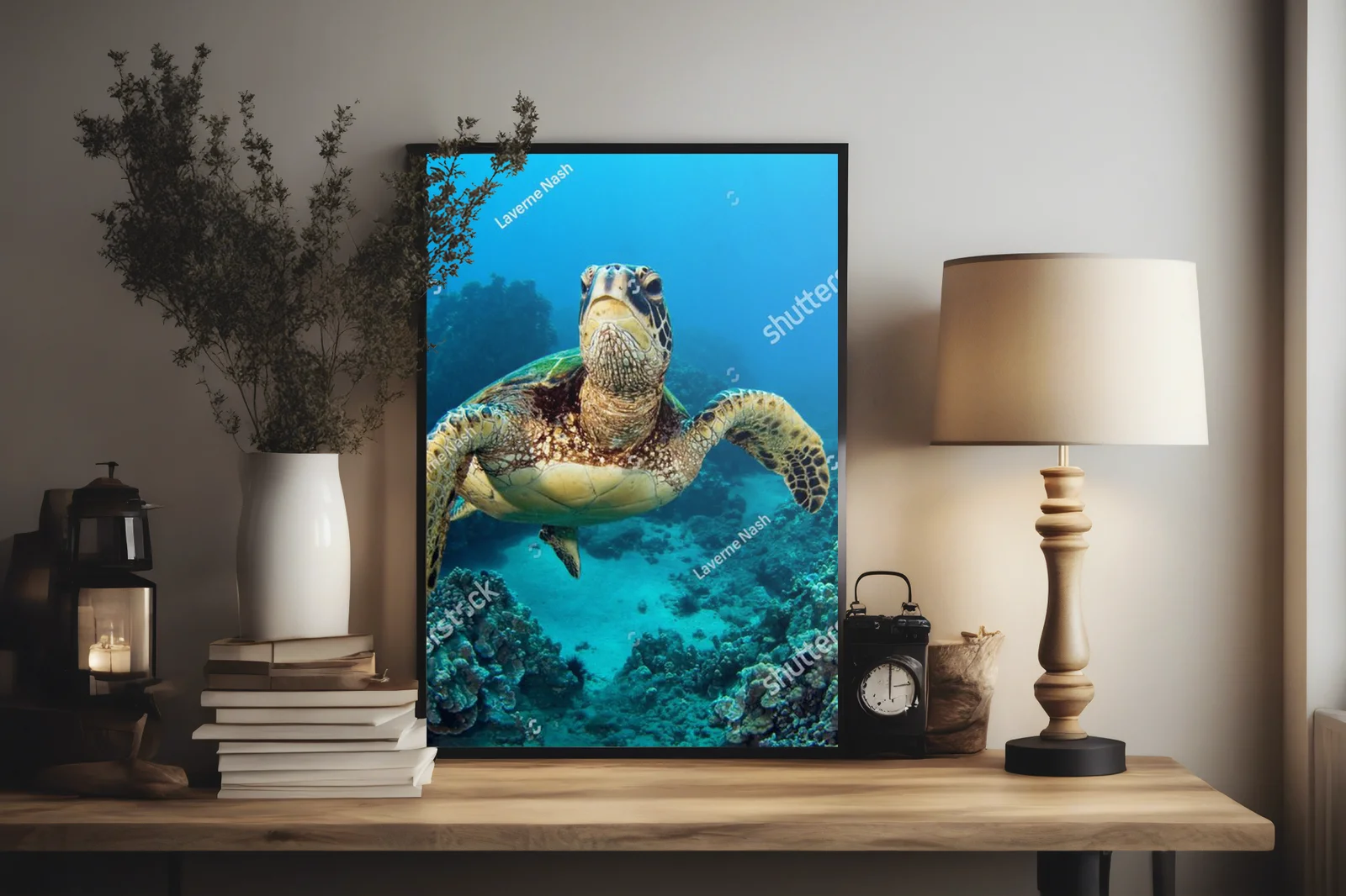 Wulkaniczne wody Galapagos z żółwiem morskich
