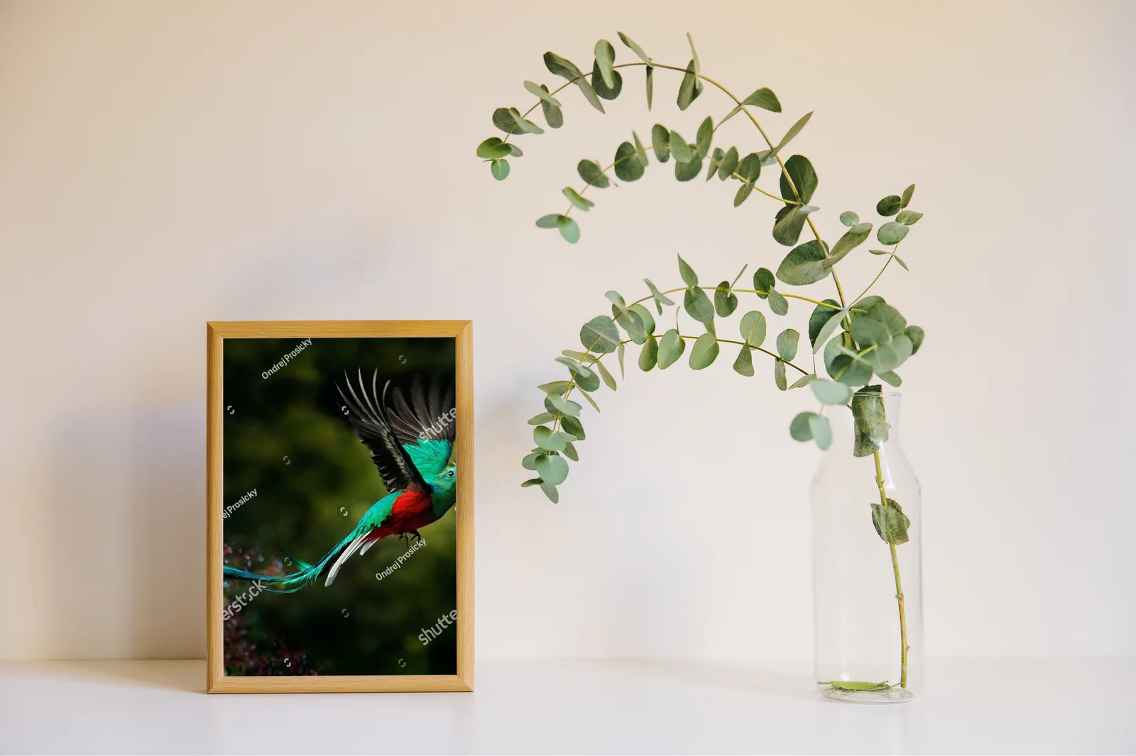 Oryginalna kompozycja z resplendentnym quetzalem
