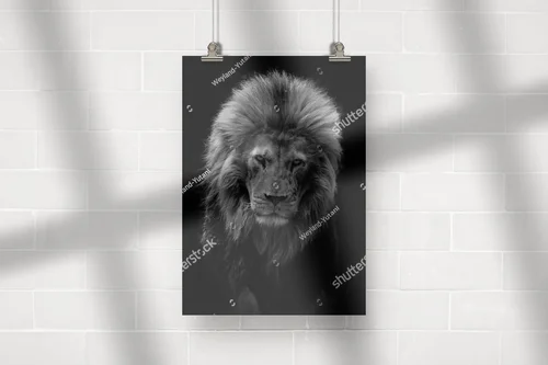 Mroczny lwi portret w czerni i bieli