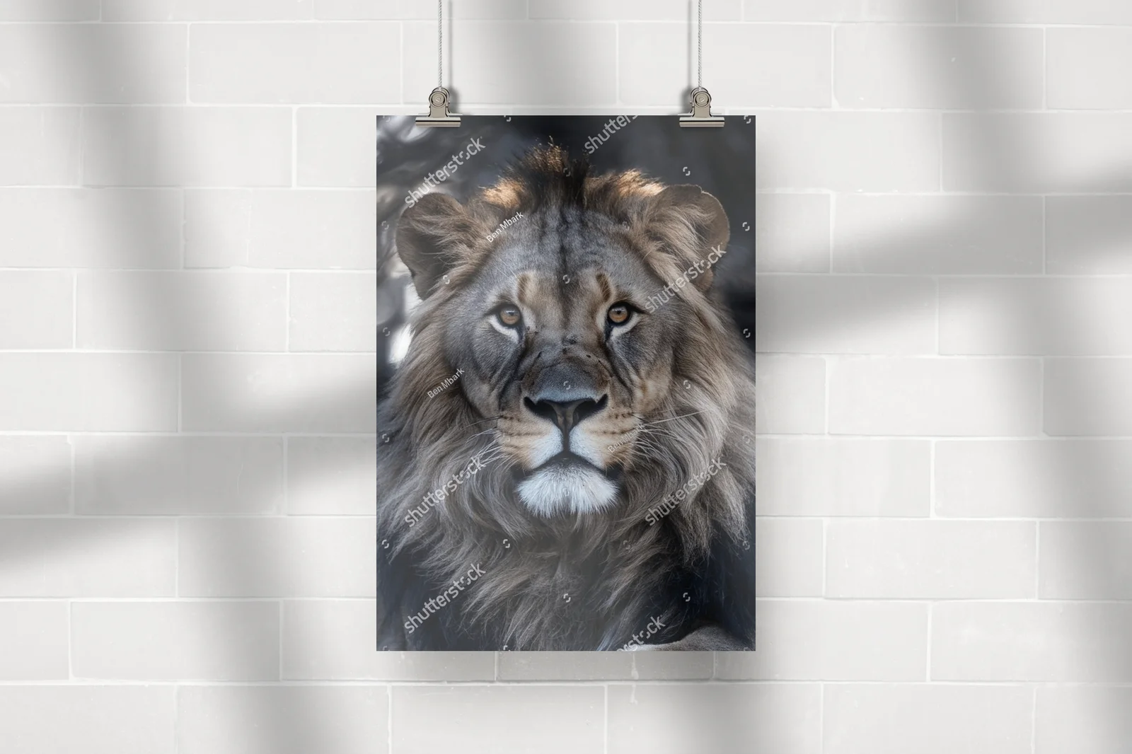Majestatyczny portret lwa z przeszywającymi oczami