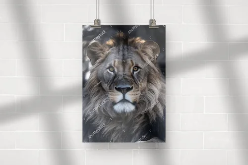 Majestatyczny portret lwa z przeszywającymi oczami