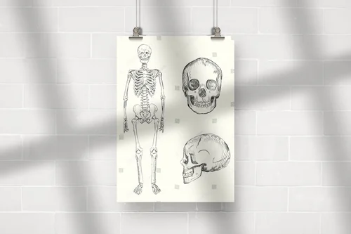 Wizjonerska ilustracja ludzkiego szkieletu