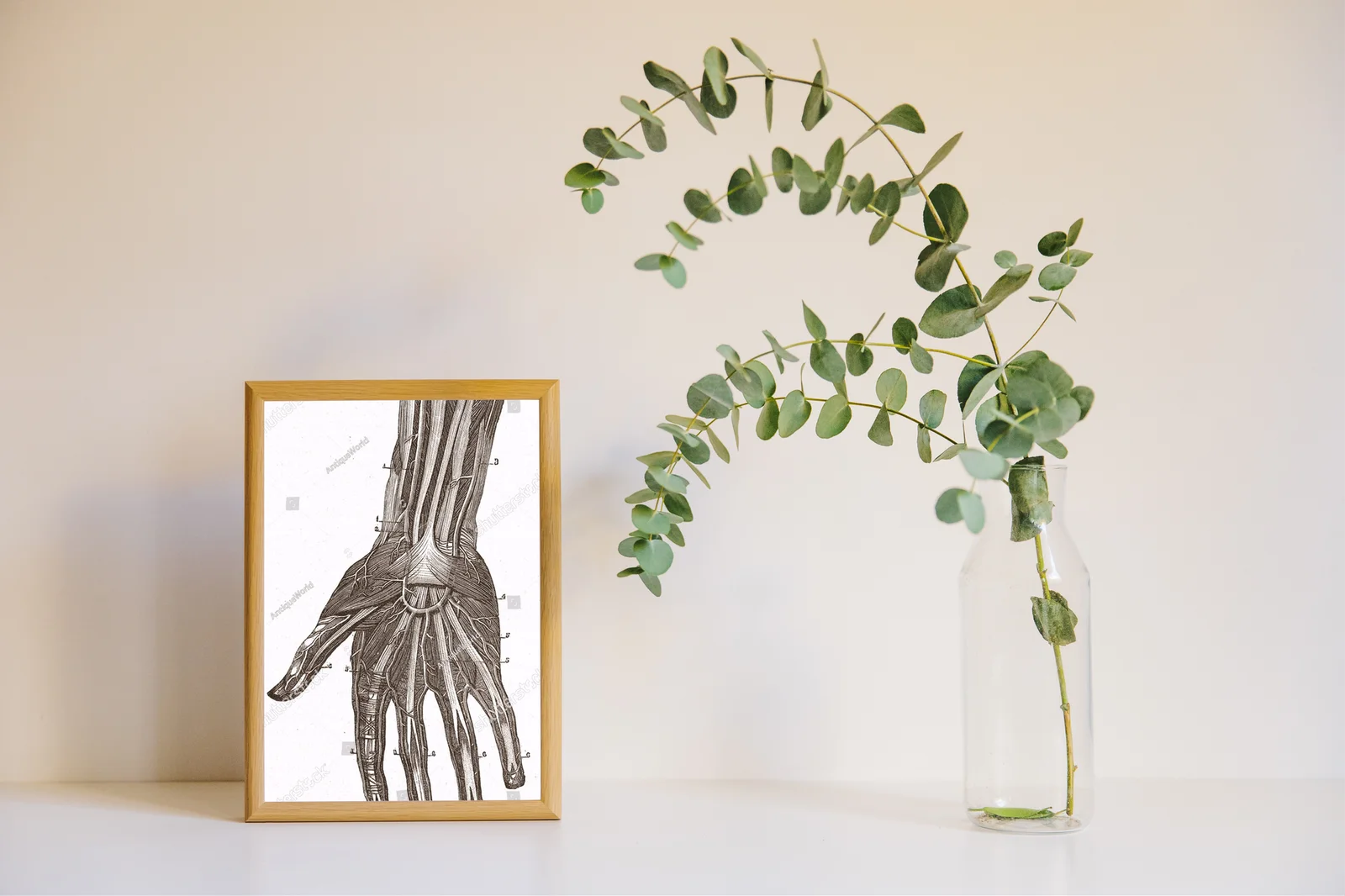 Wielowarstwowe odkrycia anatomii w vintage stylu