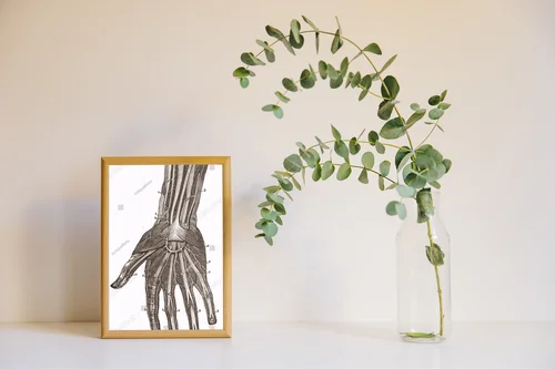 Wielowarstwowe odkrycia anatomii w vintage stylu