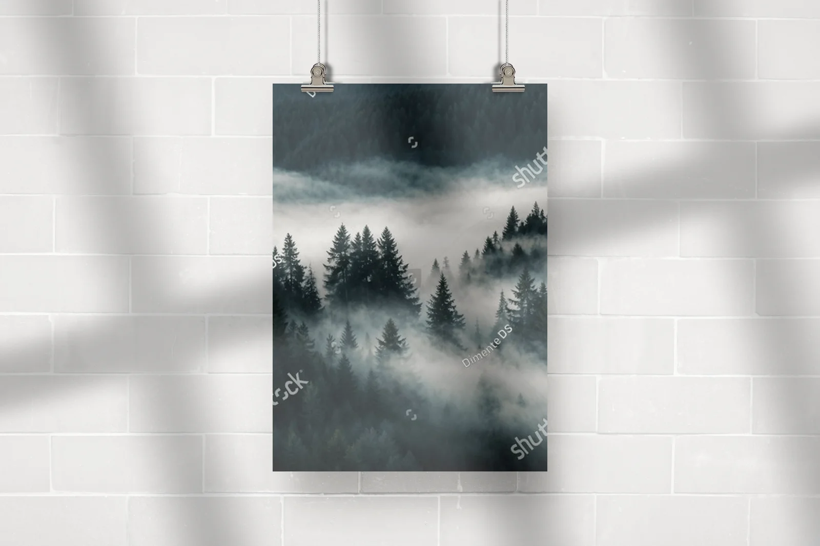 Mistyczna sosnowa las w tchnieniu poranka