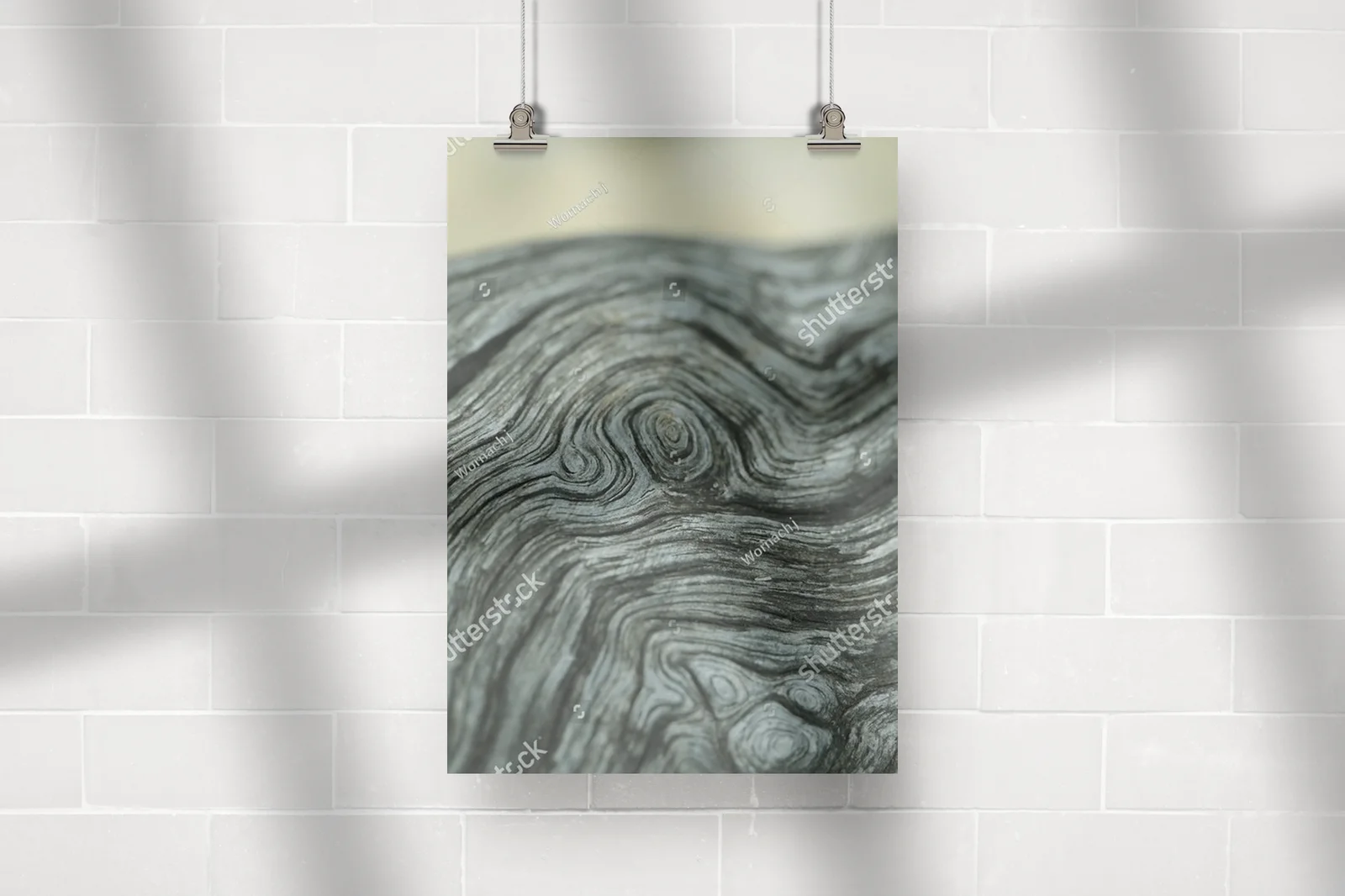 Natura zamknięta w drewnianych spiralach