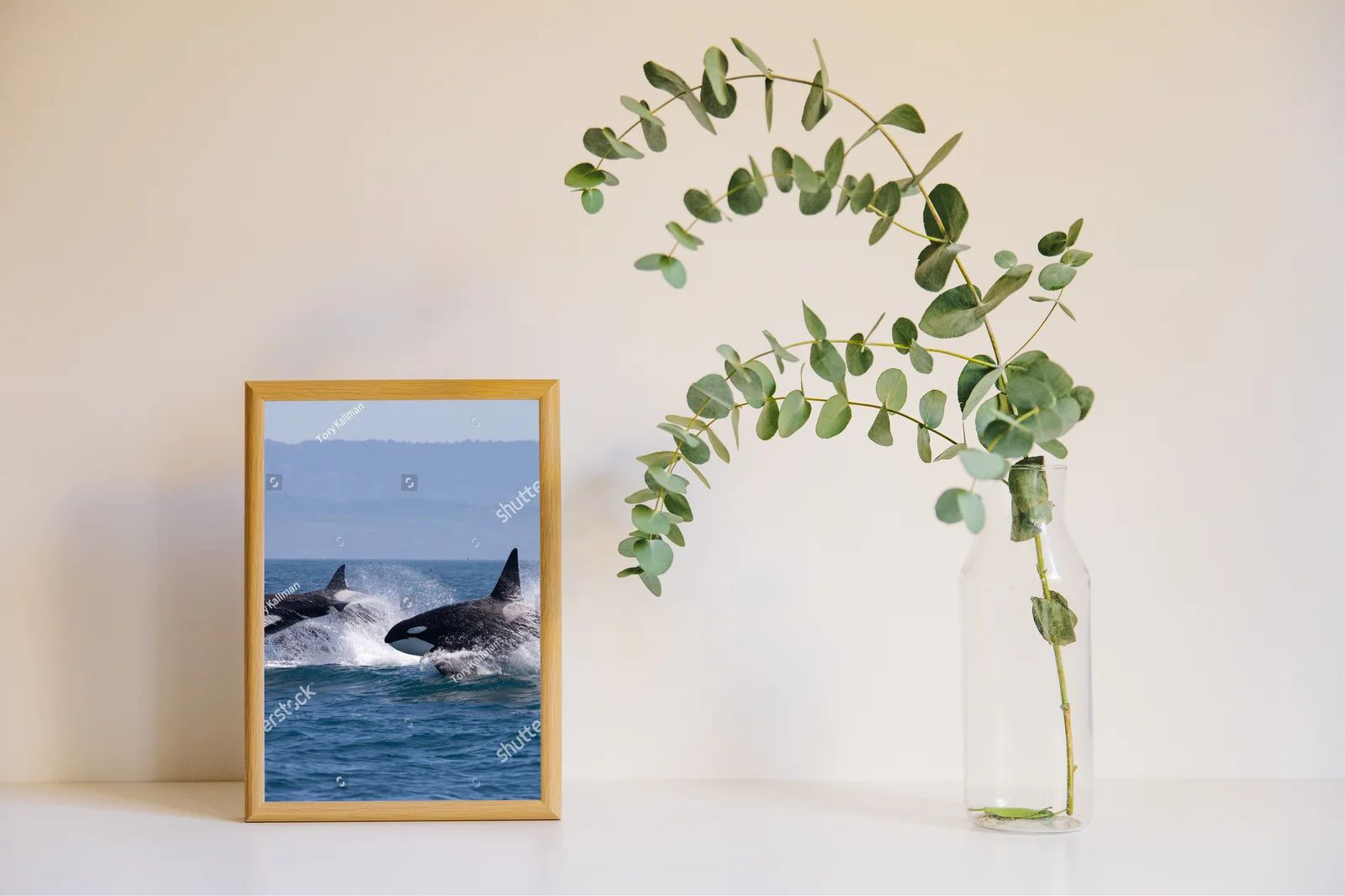 Killer Whale: Oceany w pastelowych odcieniach