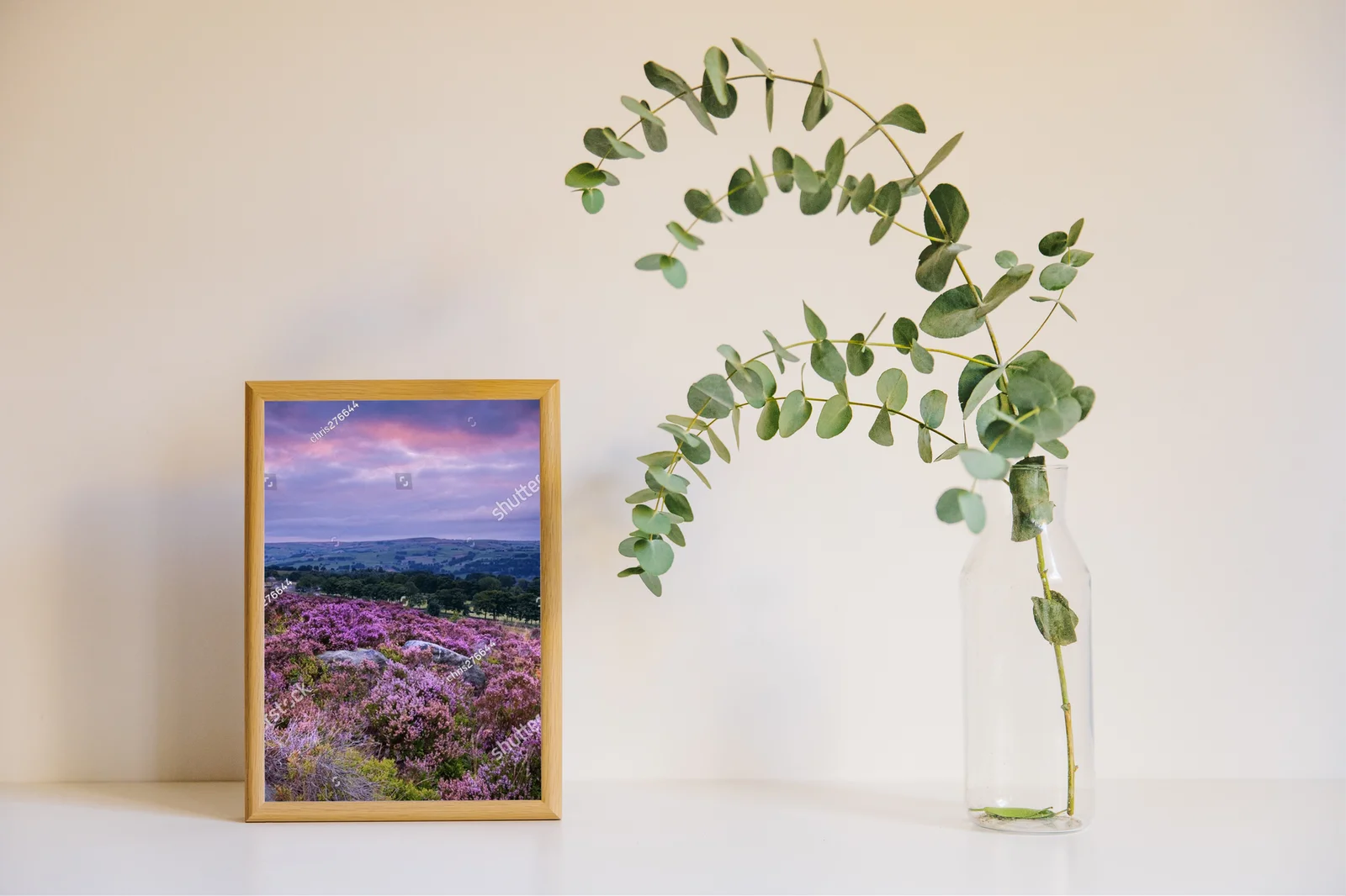 Heather: Malownicze kwitnienie w Yorkshire